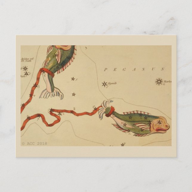 Pisces Zodiac Sign Postkarte (Vorderseite)