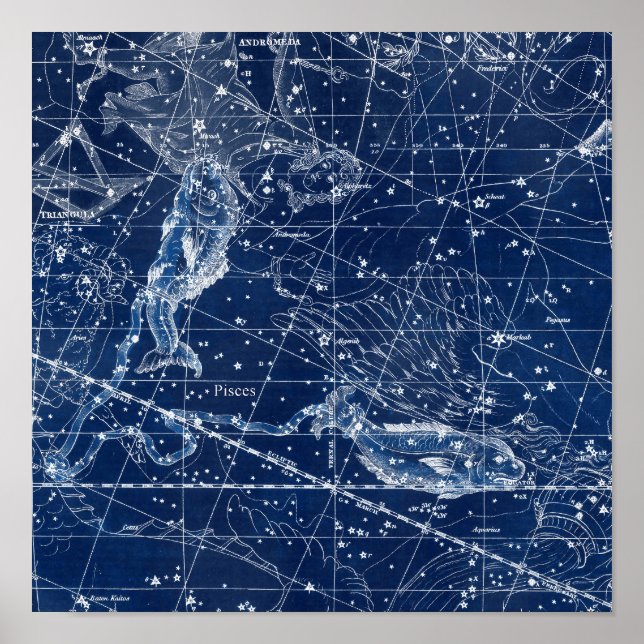 Pisces Zodiac Signierung Vintage Illustration Poster (Vorne)