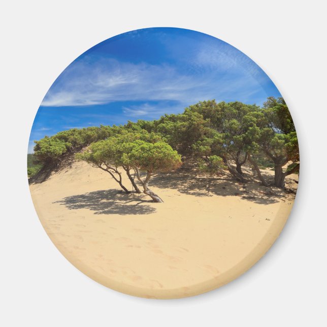 Piscinas dune - Sardinien, Italien Magnet (Vorne)