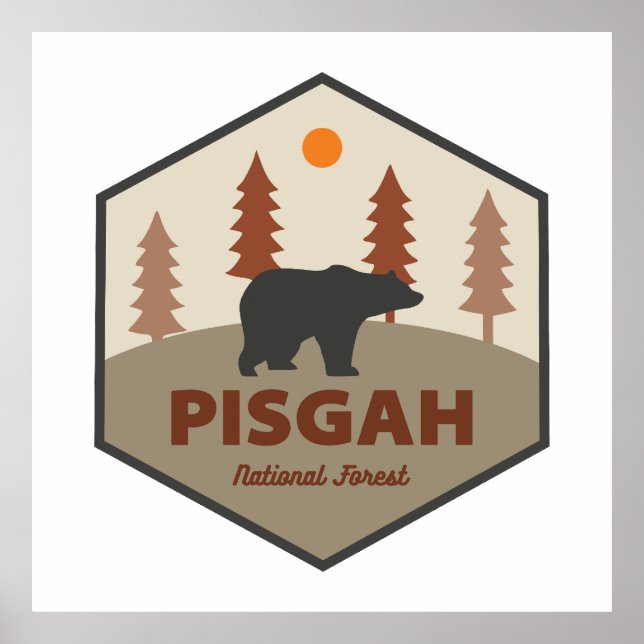 Pisgah National Forest Bear Poster (Vorne)