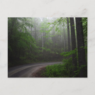 Pisgah National Forest, North Carolina Postcard Postkarte