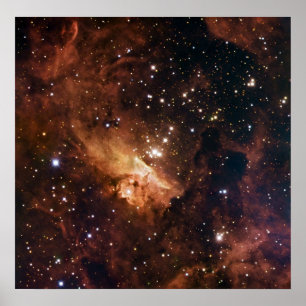 Pismis 24 braune Sterne NASA Poster