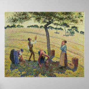 Pissarro - Apple Pickers Eragny 1888 Poster
