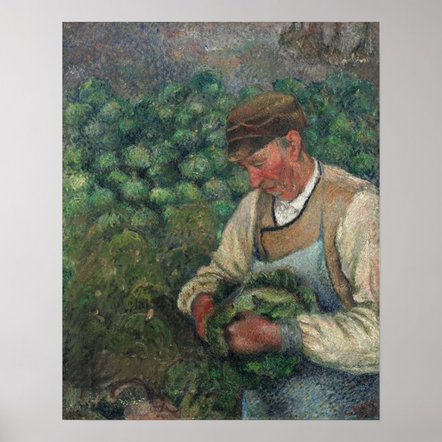 Pissarro - Der Gärtner Alte Bauern mit Kohl Poster (Vorne)