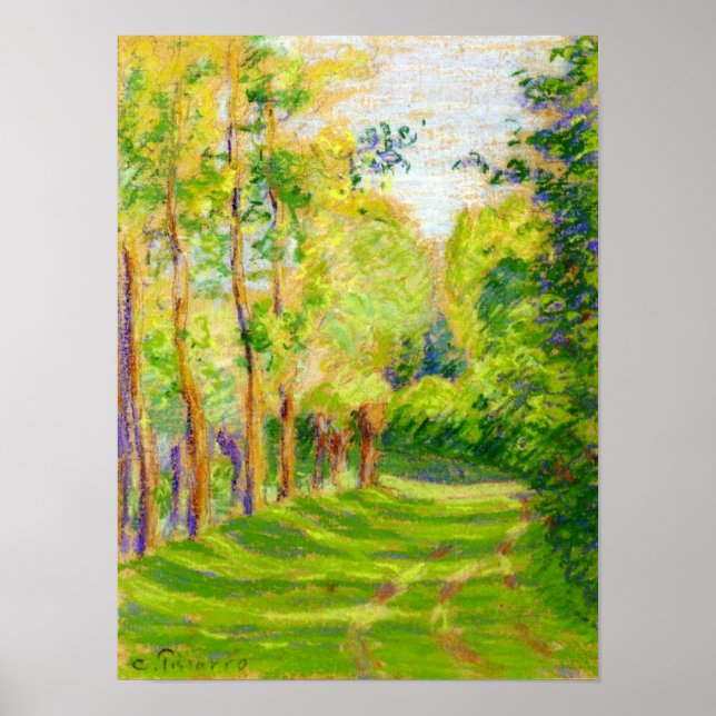 Pissarros "Landschaft am St. Charles" - Poster (Vorne)