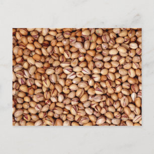 Pistachio Nuts Postkarte