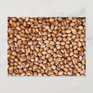 Pistachio Nuts Postkarte