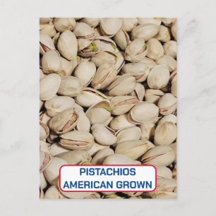 Pistachios, amerikanisches Erbe Postkarte