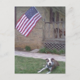 Pit Bull/BSL Postcard Postkarte