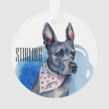 Pit Bull Dog Blue Watercolor Anpassbar