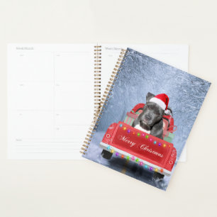Pit Bull Dog in Snow sitzend im Weihnachtswagen Planer