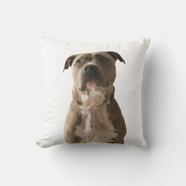 Pit Bull Dog Kissen (Vorderseite)