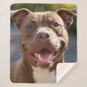 Pit Bull-Foto hinzufügen Anpassen Sherpadecke