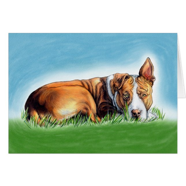 Pit Bull hört dich (Vorderseite (Horizontal))