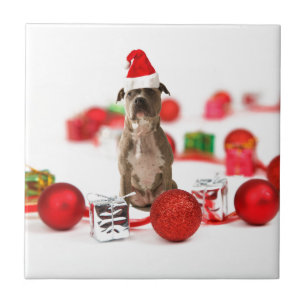 Pit Bull Hund mit Geschenkboxen und Weihnachtsschm Fliese