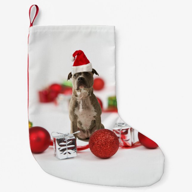 Pit Bull Hund mit Geschenkboxen und Weihnachtsschm Kleiner Weihnachtsstrumpf (Vorderseite)
