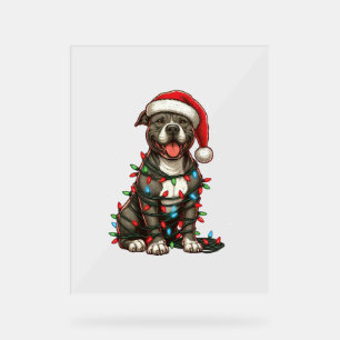 Pit bull Hund Weihnachtslicht Weihnachtsmannmütze  Acrylschild
