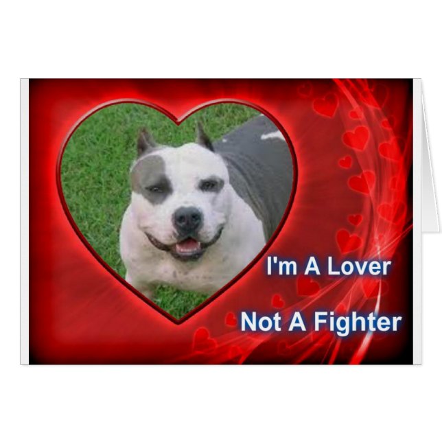 Pit Bull Lover (Vorderseite (Horizontal))