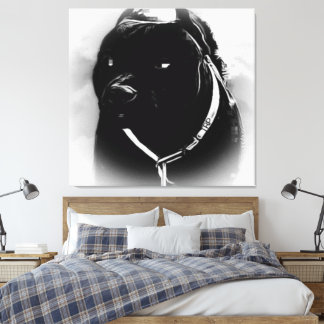 Pit Bull Models: Khan 02-04 Leinwanddruck