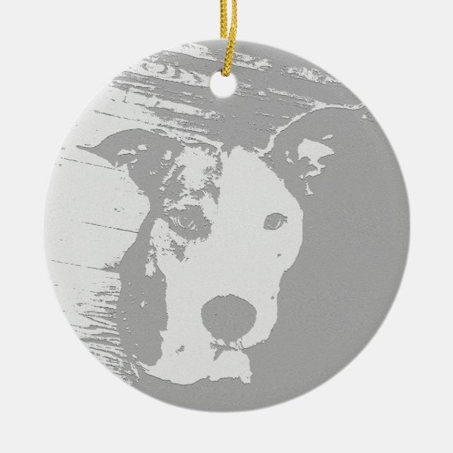 PIT BULL ORNAMENT PITTY (Vorne)