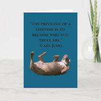 Pit Bull Philosophie