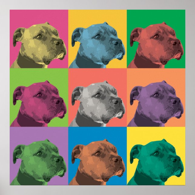 Pit Bull Pop-Art-Poster Poster (Vorne)