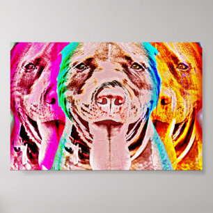Pit Bull Pop Poster