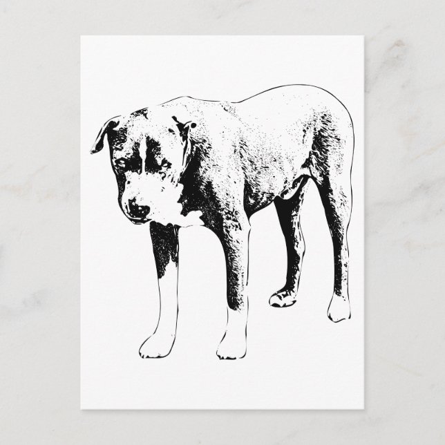 Pit Bull Post, Schneetag Hallo Postkarte (Vorderseite)