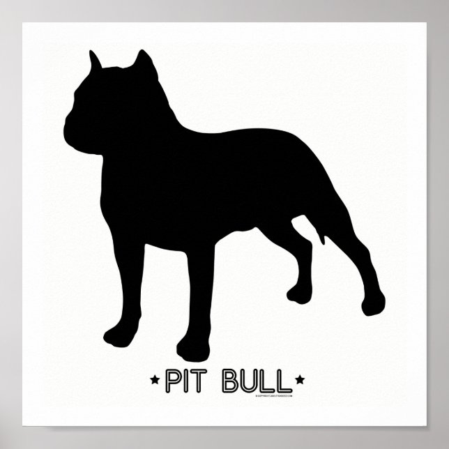 Pit Bull Print Poster (Vorne)