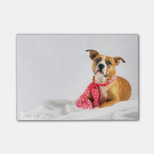 Pit Bull Puppy-Liebe in rosa XOXO Post-it Klebezettel