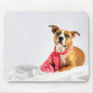 Pit Bull Puppy Love in Rosa XOXO Mousepad