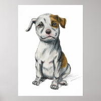 Pit Bull Puppy Sketch Zeichnend