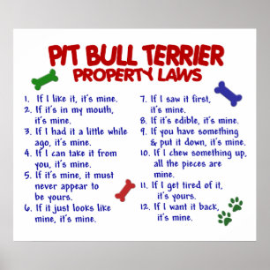 PIT BULL TERRIER PL2 POSTER