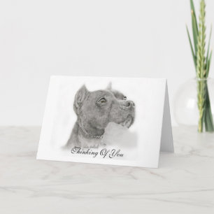 Pit Bull Thinking of You Card Karte
