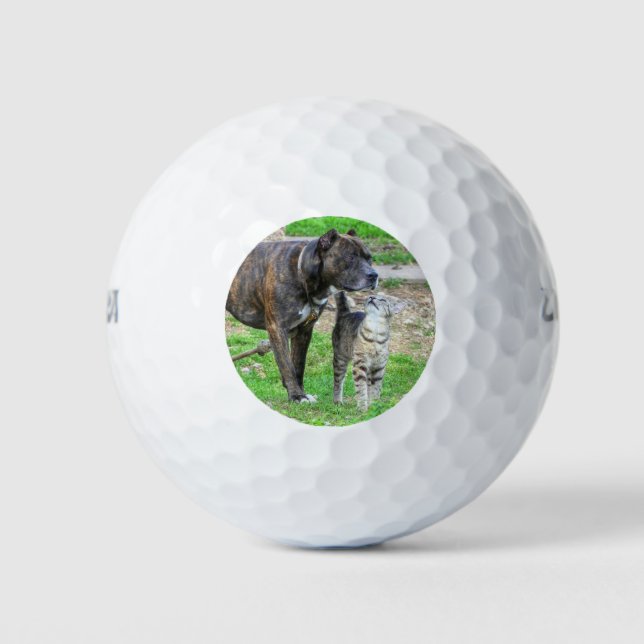 Pit Bull und Cat Golfball (Vorderseite)