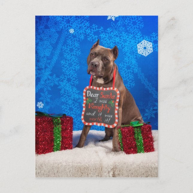 Pit-Bull Weihnachten (Vorderseite)