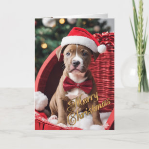 Pit Bull Weihnachtswelpe in einem Korb Feiertagskarte