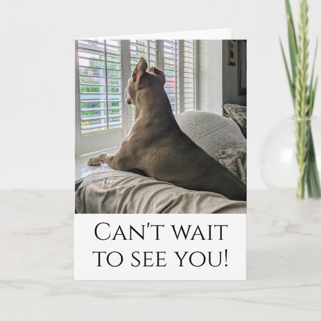 Pit Bull wird dich sehen Karte (Vorderseite)