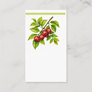 Pitangueira e Saí-andorinha (Tersina viridis) Visitenkarte