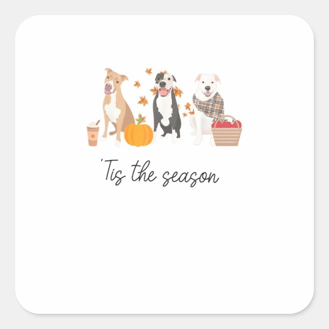 Pitbuli Dog Herbst Erntedank Saison Quadratischer Aufkleber (Vorderseite)