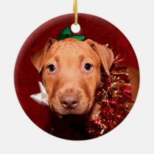 Pitbuli Welpen Weihnachten Keramik Ornament