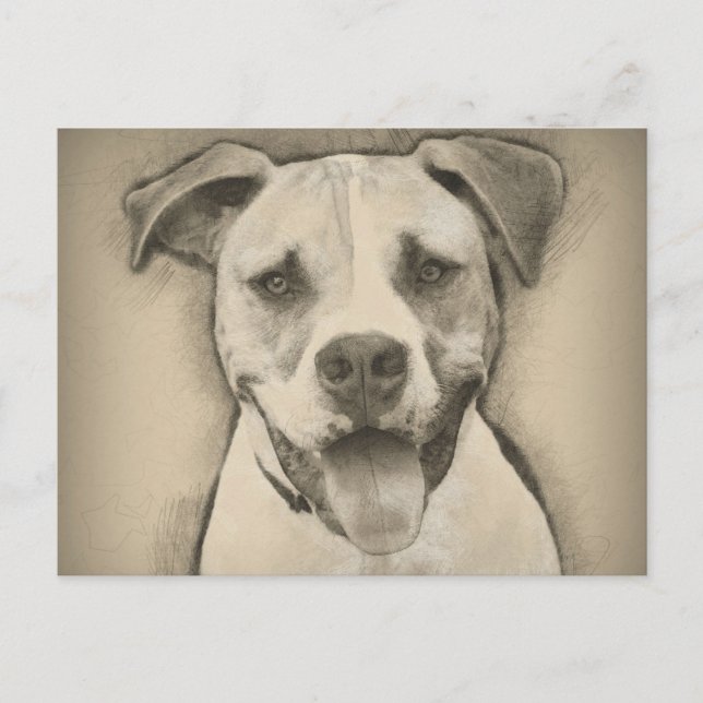 Pitbull - American Bulldog Pencil Sketch-Portrait Postkarte (Vorderseite)