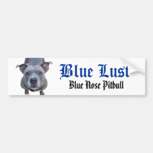 Pitbull Blue Nose Pitbull Autoaufkleber