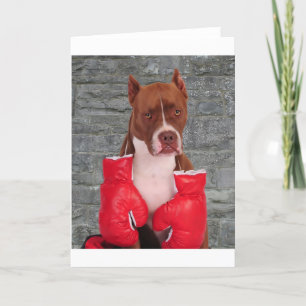 Pitbull Boxer Karte