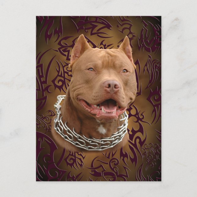 Pitbull Brown Postkarte (Vorderseite)