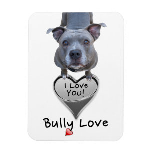 Pitbull Bully Liebe Magnet