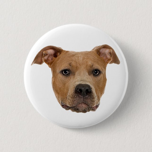 Pitbull Dog Button (Vorderseite)
