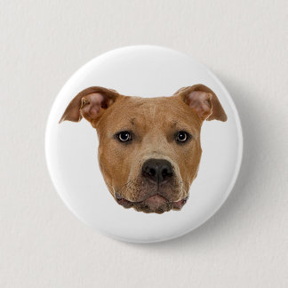 Pitbull Dog Button