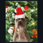 Pitbull Dog Christmas Tree Ornaments Snowman<br><div class="desc">Pitbull Hund Weihnachtsbaumschmuck Schneemann Doormat.Niedlich Pitbull Hund mit Weihnachtsbaumschmuck Schneemann im Hintergrund.</div>