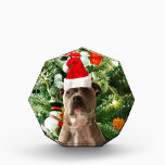 Pitbull Dog Christmas Tree Ornaments Snowman Auszeichnung<br><div class="desc">Pitbull Hund Weihnachtsbaumschmuck Schneemann Doormat.Niedlich Pitbull Hund mit Weihnachtsbaumschmuck Schneemann im Hintergrund.</div>